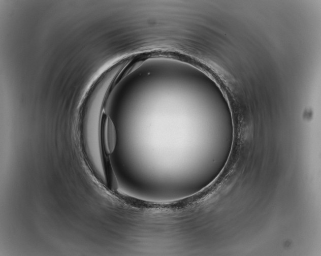 X0000099291118200805021225