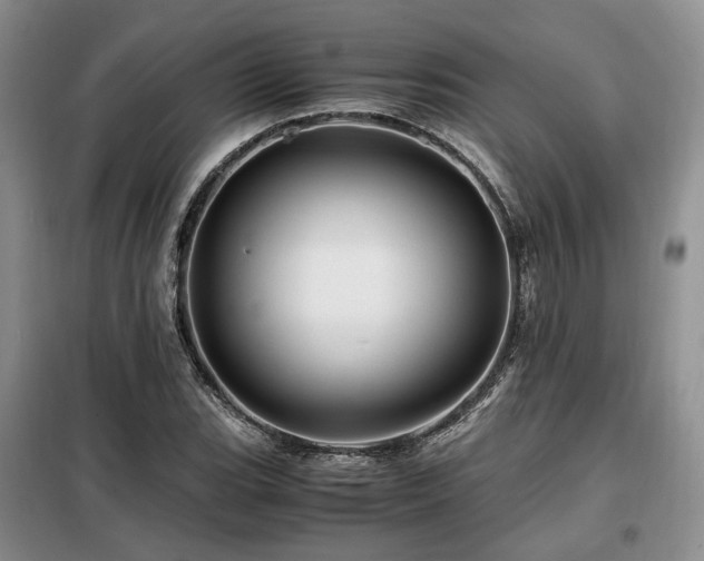 X0000099291119200805021225