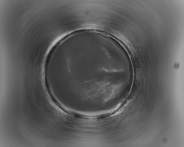 X0000099291120200805021225