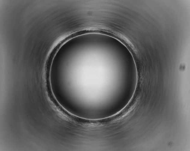 X0000099291122200805021225