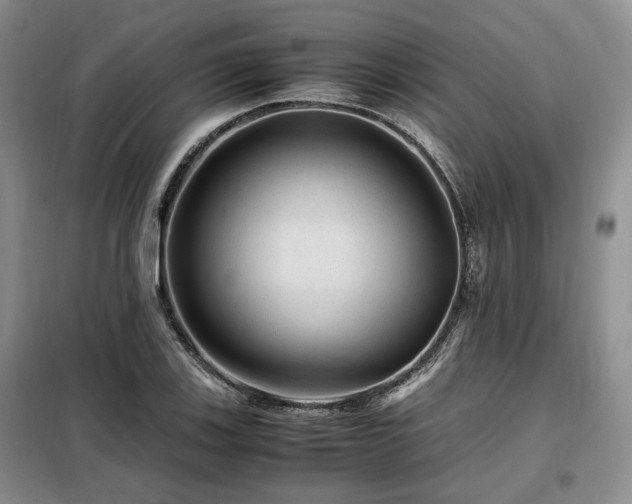 X0000099291123200805021225