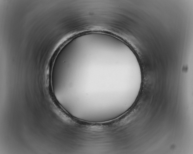 X0000099291126200805021225