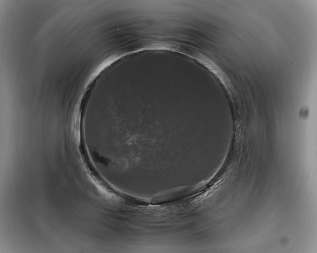 X0000099291127200805021225