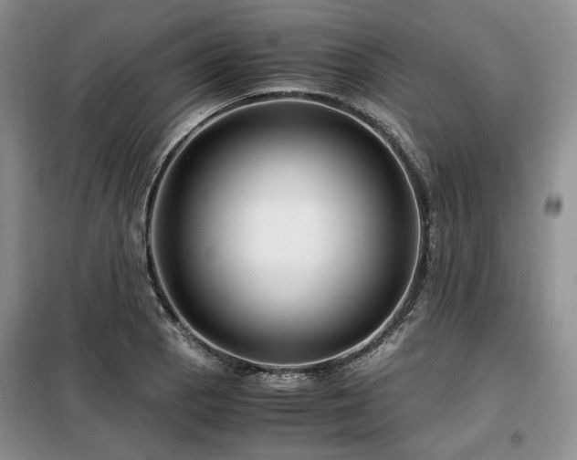 X0000099291129200805021225