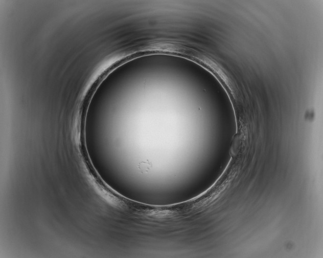 X0000099291131200805021225