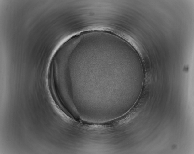 X0000099291132200805021225
