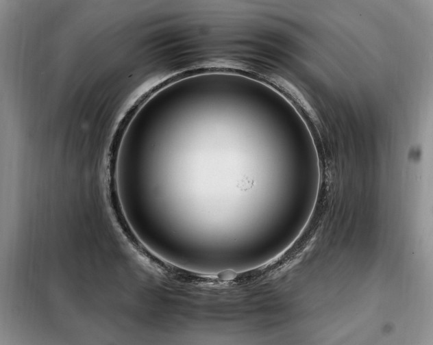 X0000099291133200805021225