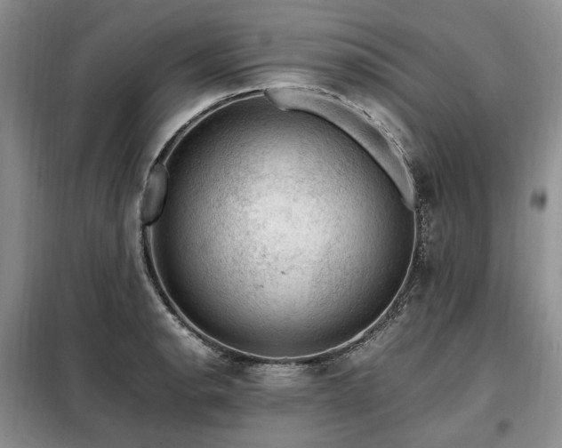 X0000099291134200805021225