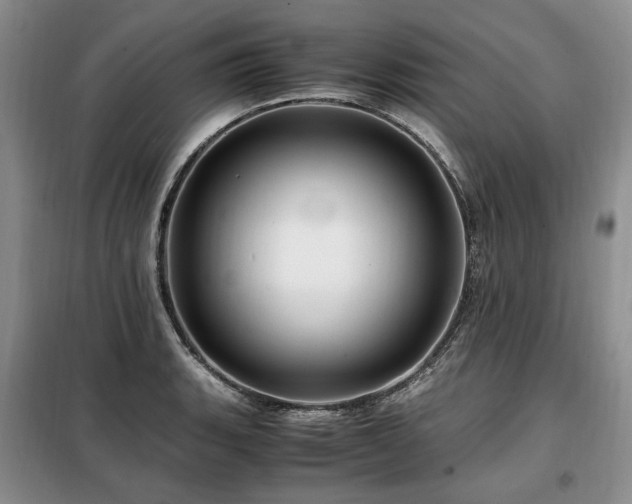X0000099291135200805021225