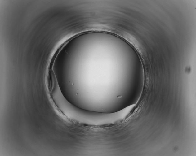 X0000099291136200805021225
