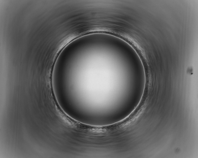 X0000099291137200805021225