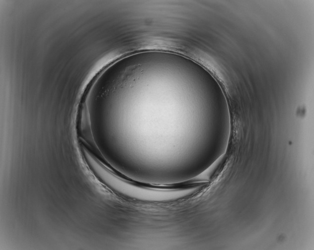 X0000099291138200805021225