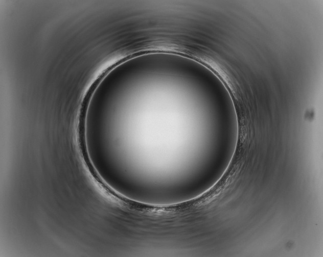 X0000099291139200805021225
