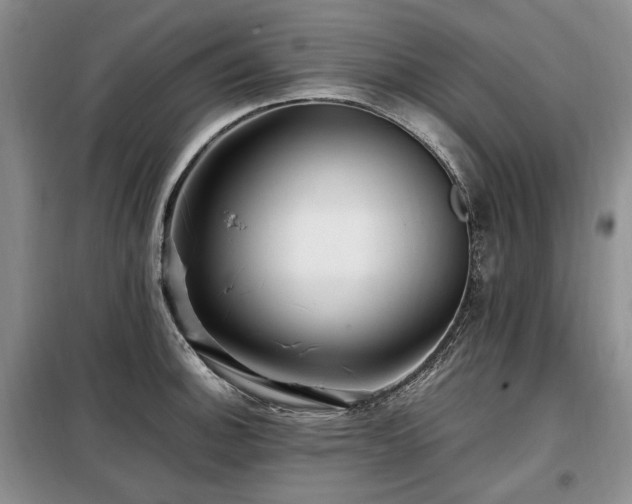 X0000099291140200805021225
