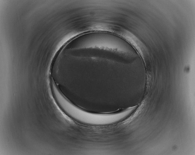 X0000099291141200805021225
