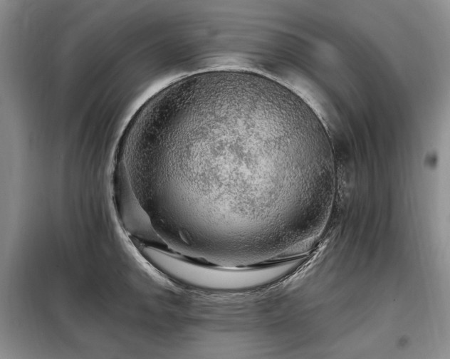 X0000099291142200805021225