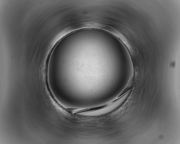 X0000099291143200805021226