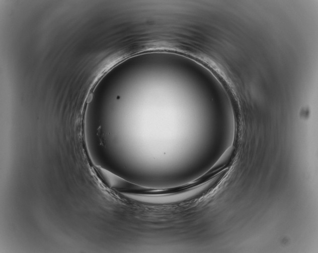 X0000099291145200805021226