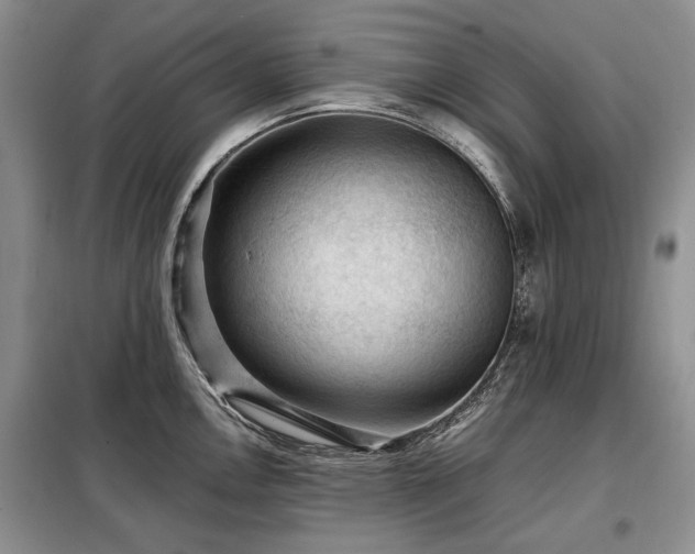 X0000099291146200805021226