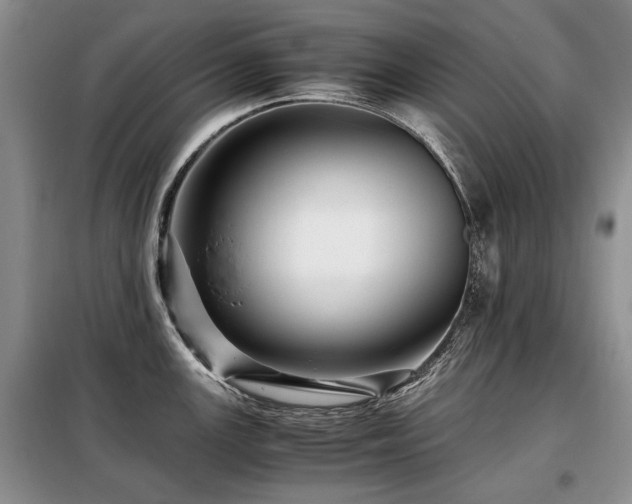 X0000099291147200805021226