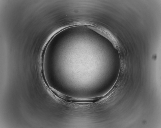 X0000099291148200805021226