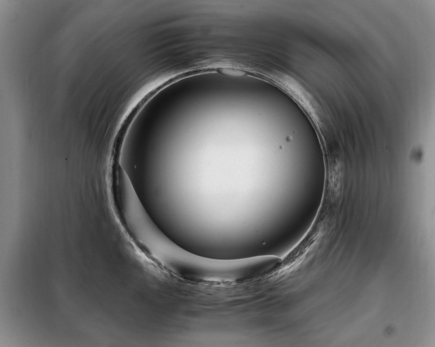 X0000099291149200805021226