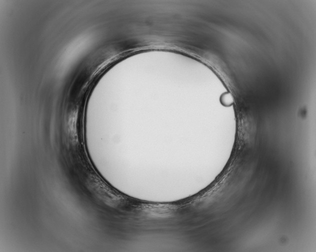 X0000099291150200805021226