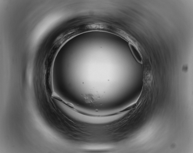 X0000099291151200805021226