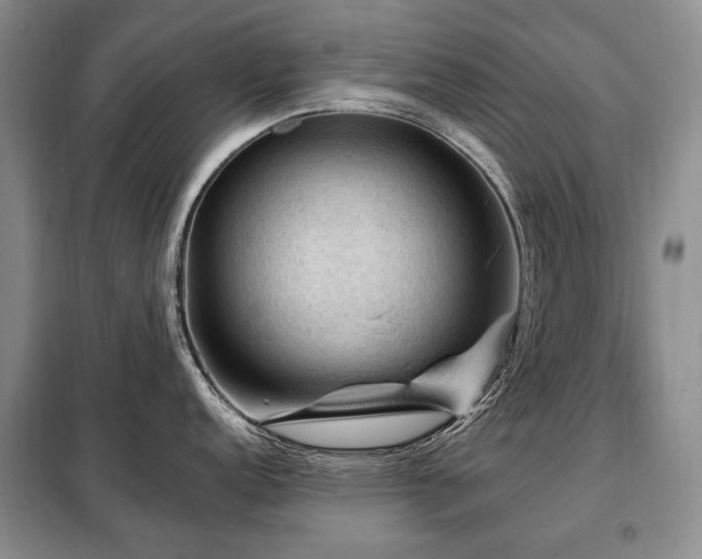 X0000099291152200805021226