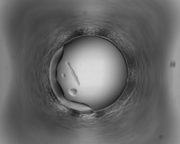 X0000099291153200805021225