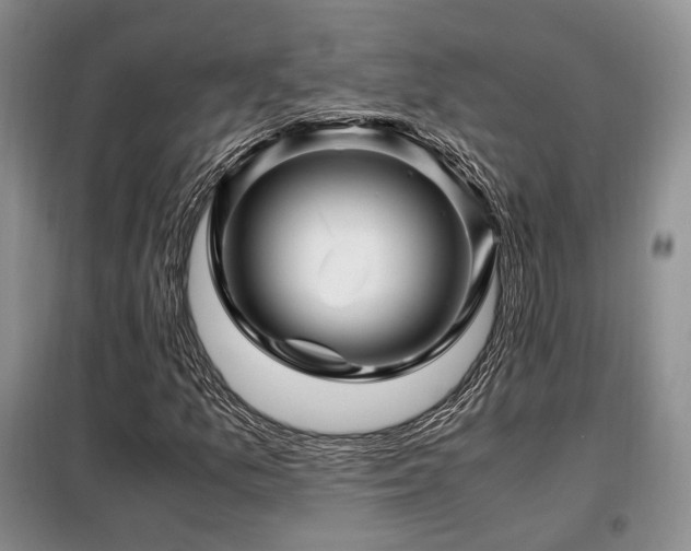 X0000099291157200805021225