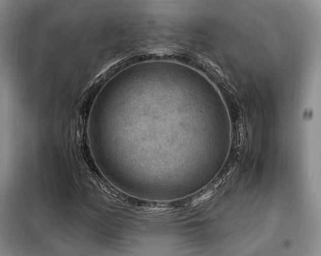 X0000099291158200805021225