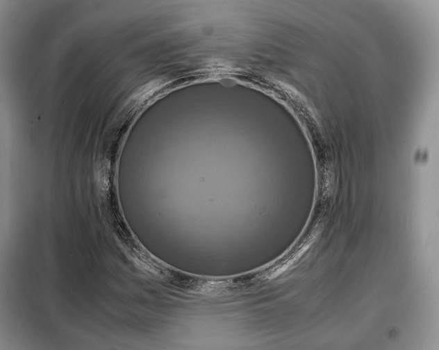 X0000099291161200805021225