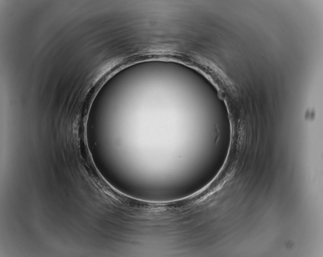 X0000099291162200805021225