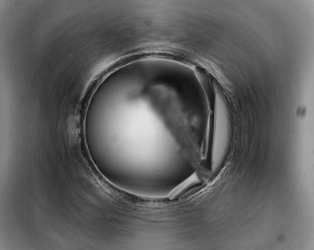 X0000099291164200805021225