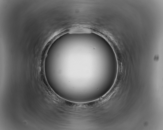 X0000099291165200805021225