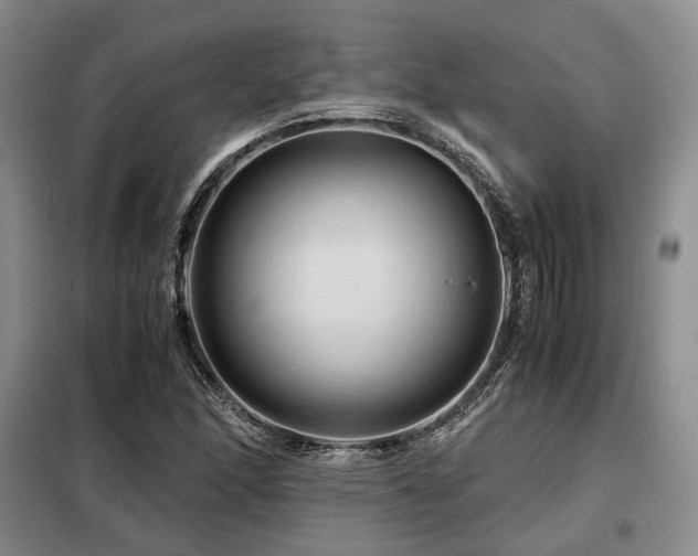 X0000099291166200805021225