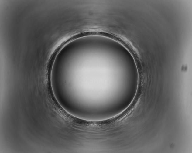 X0000099291167200805021225