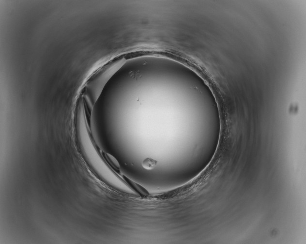 X0000099291168200805021225