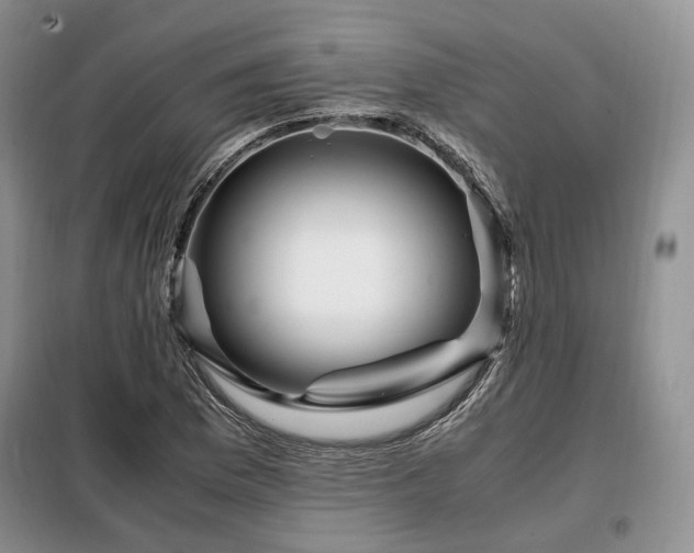 X0000099291169200805021225