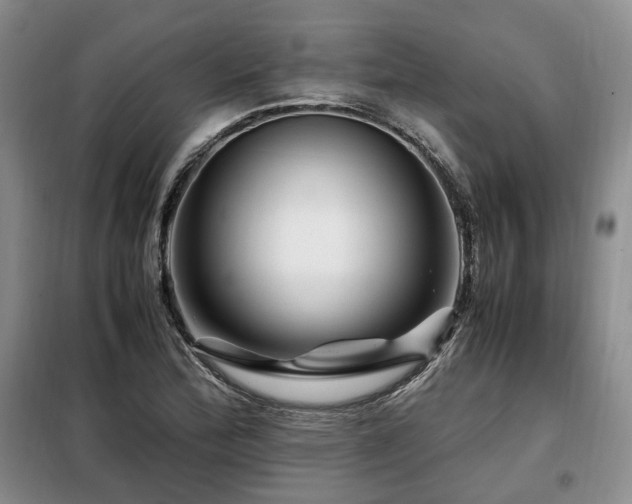 X0000099291172200805021225