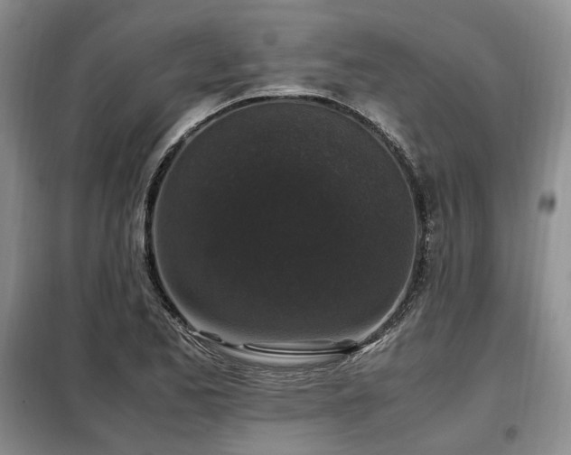 X0000099291173200805021225