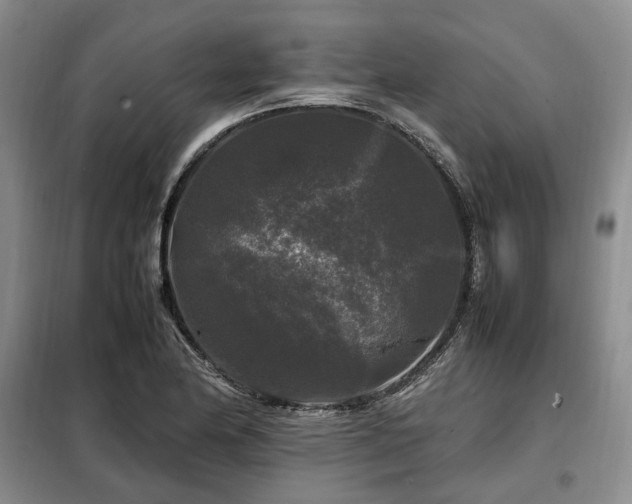 X0000099291174200805021225