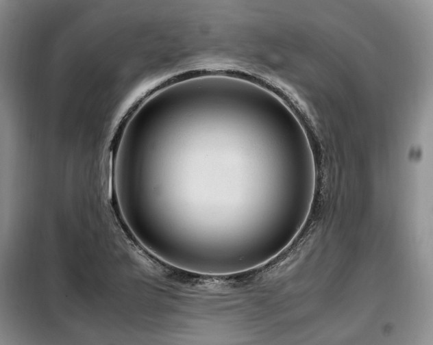 X0000099291175200805021225