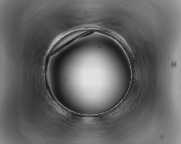 X0000099291176200805021225