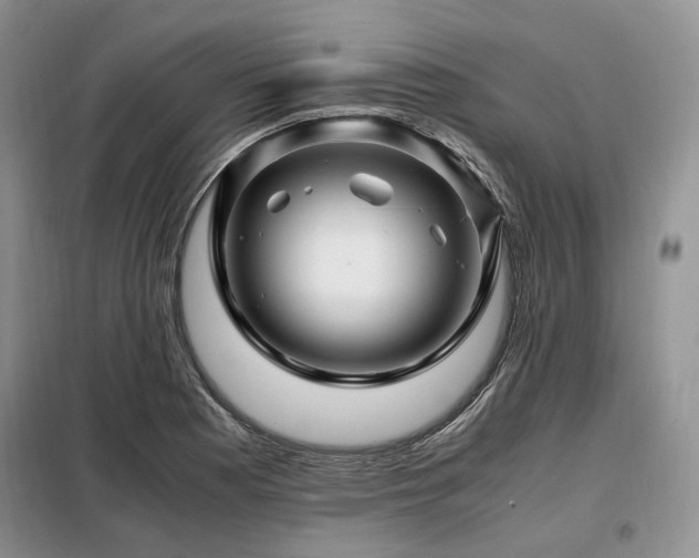 X0000099291177200805021225