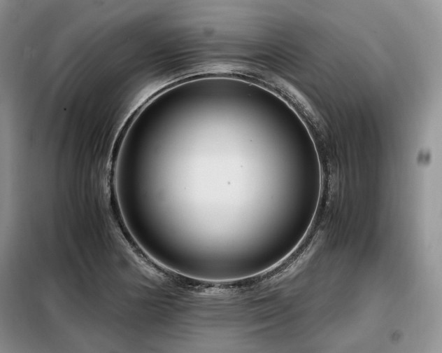 X0000099291178200805021225