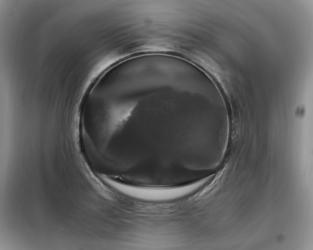X0000099291179200805021225