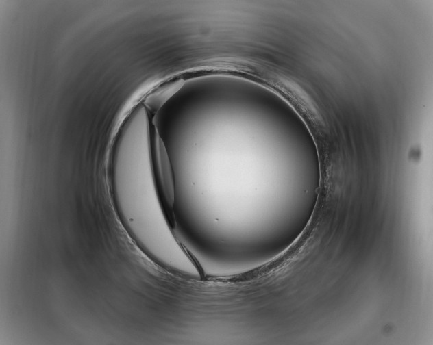X0000099291180200805021225