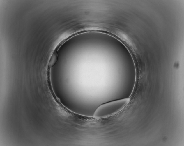 X0000099291181200805021225